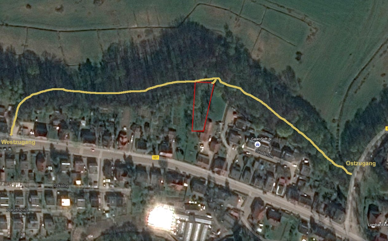 Der Weg zum Judenfriedhof in Paslek.jpg