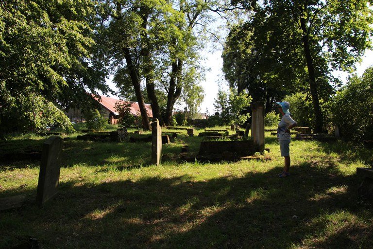 Blick gen Süd 2