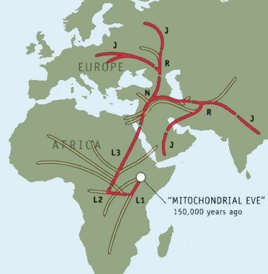 Die Wanderung der Mütter der Haplogruppe J*