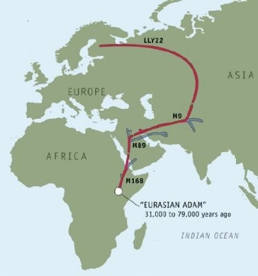 Die Wanderung der Väter der Haplogruppe N