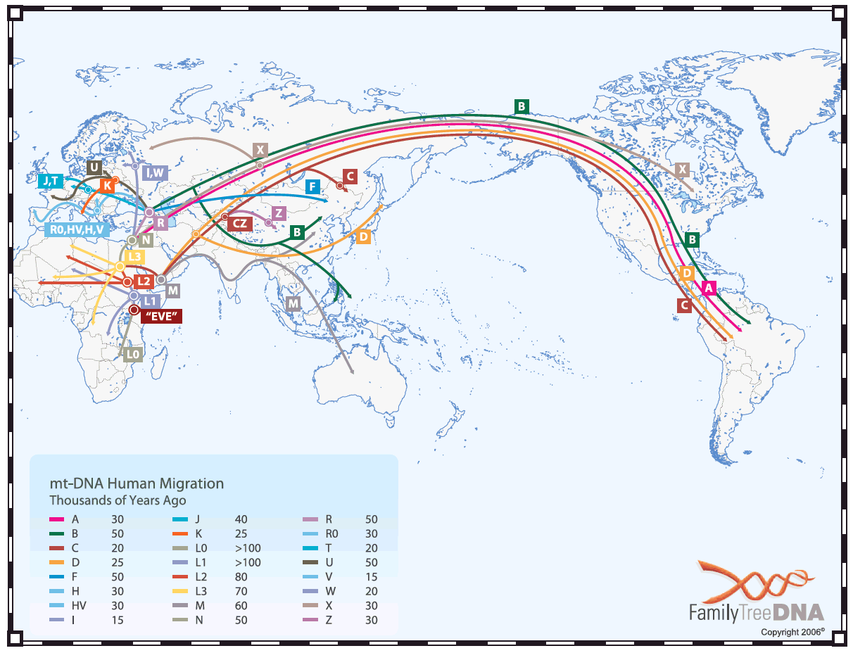 Mütterliche Migrations-Weltkarte