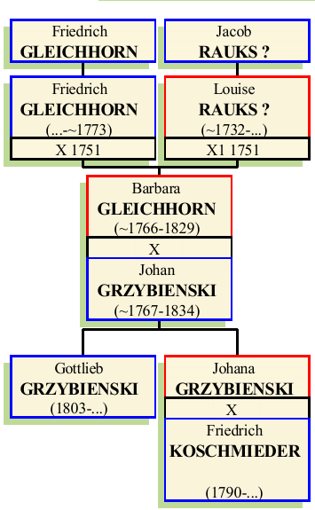 Stammbaum von Barbara