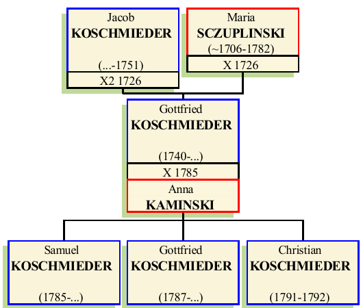 Stammbaum von Gottfried