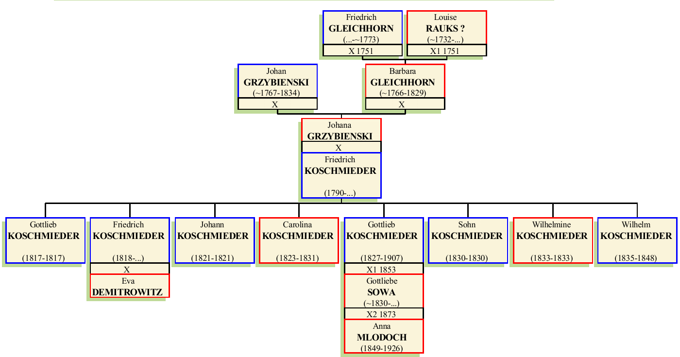 Stammbaum von Johana Grzybienski