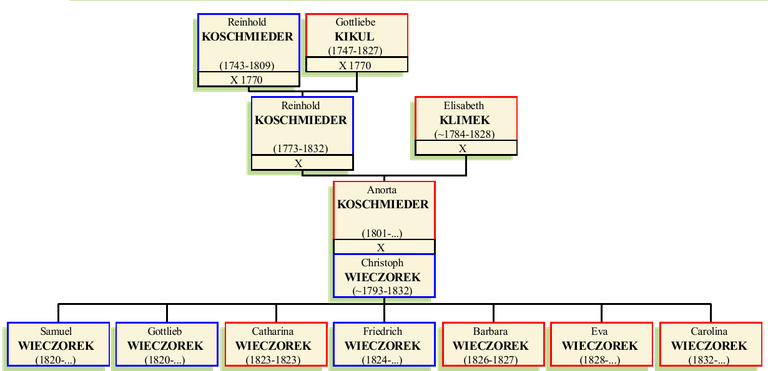 anorta-koschmieder.png