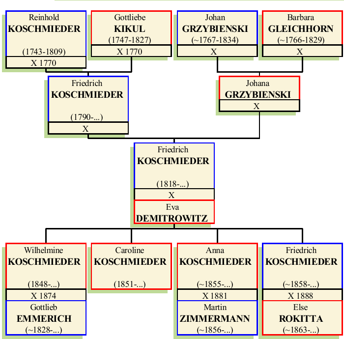 Stammbaum von Friedrich