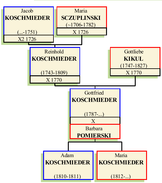 Stammbaum von Gottfried