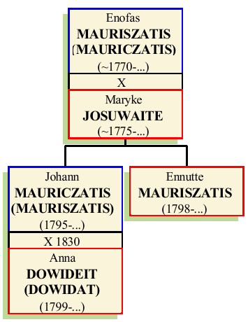 Enofas-Mauriszatis.png