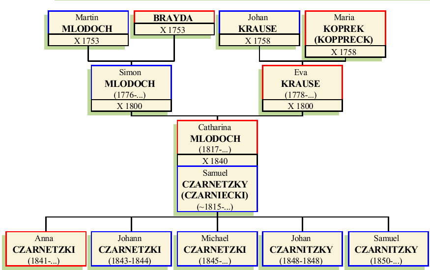 Stammbaum von Catharina