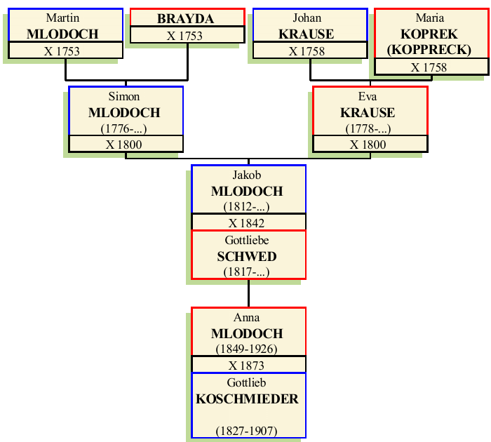 Stammbaum von Jakob