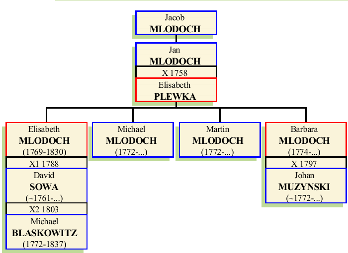 Stammbaum von Jan