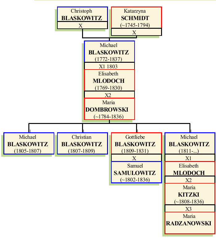 Stammbaum von Michael