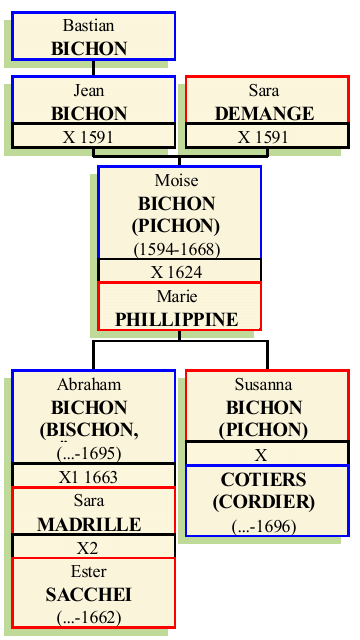 Stammbaum von Moise (Moses) Bichon Pichon