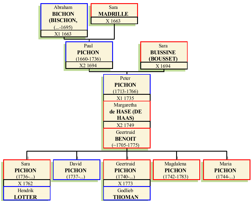 Stammbaum von Pieter Pichon